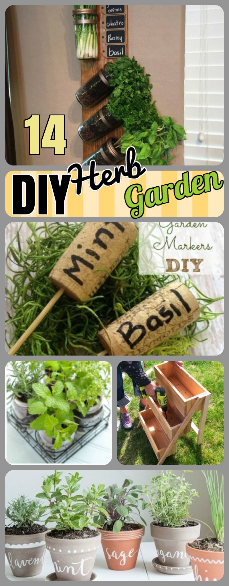 Diy Herb Garden