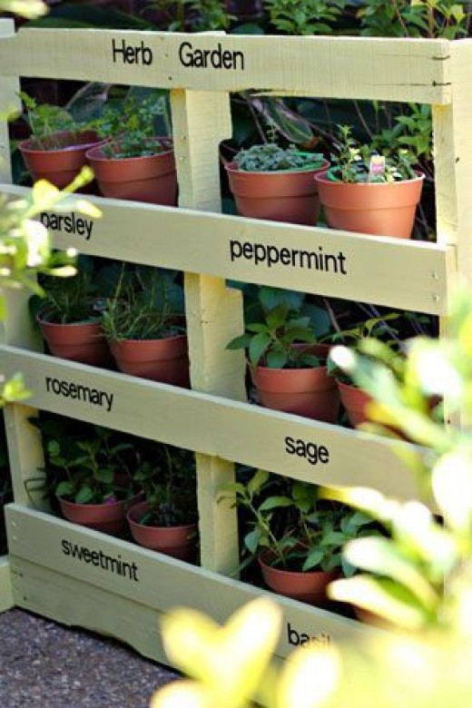Diy-Herb-Garden