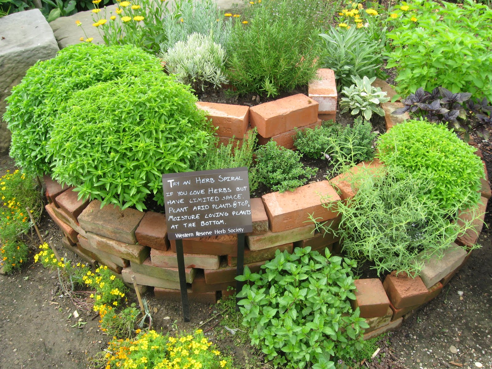 herb garden