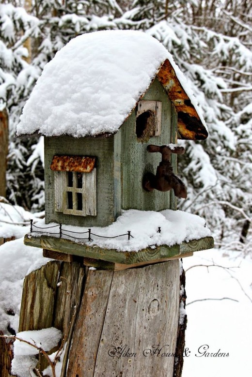 bird-House