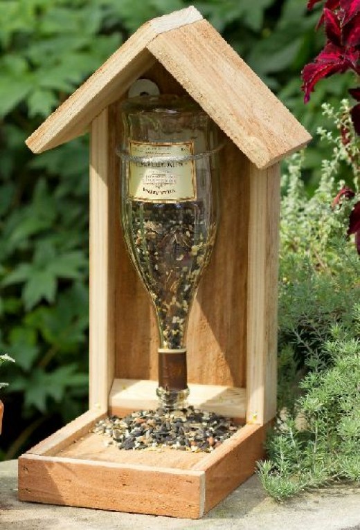 bird-feeder