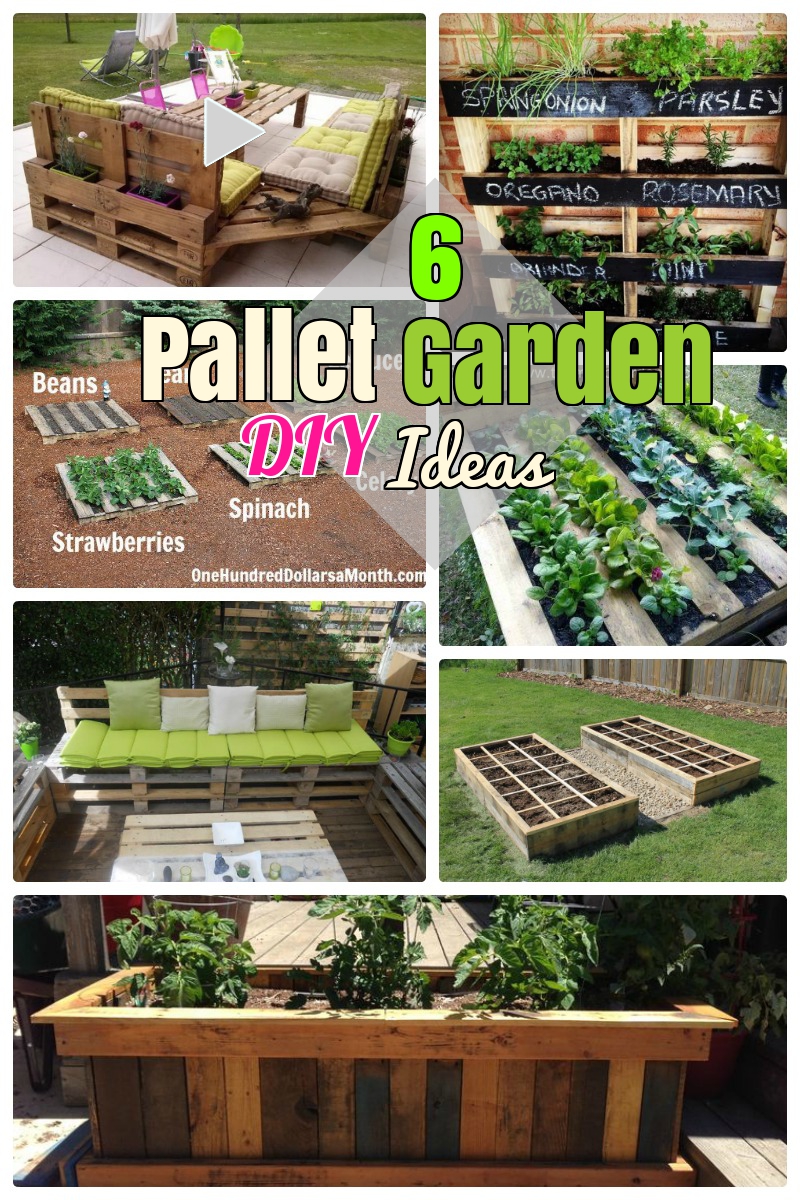 Pallet Garden ideas