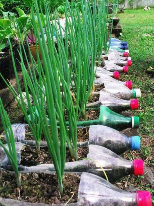 Recycled-garden-ideas
