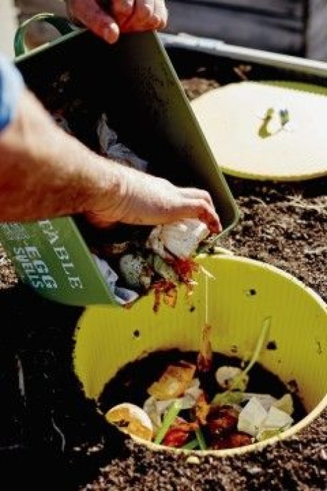 Compost-budget-garden-ideas