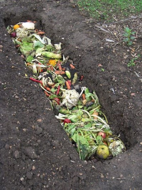 Compost-budget-garden-ideas