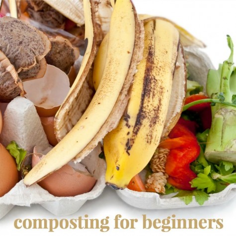 Compost-budget-garden-ideas