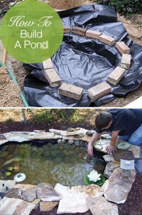 #60 DIY Water Garden Ideas: Container and Pond Water Garden