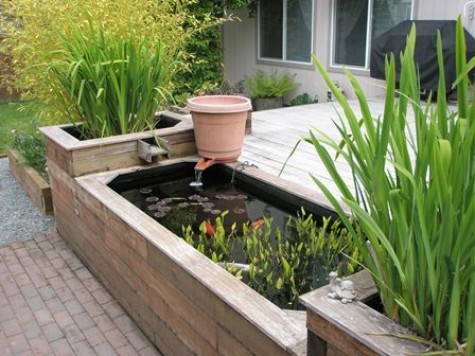 Raised-pond-garden-ideas