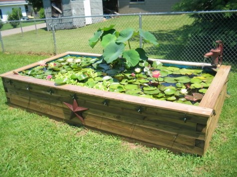 Raised-pond-garden-ideas