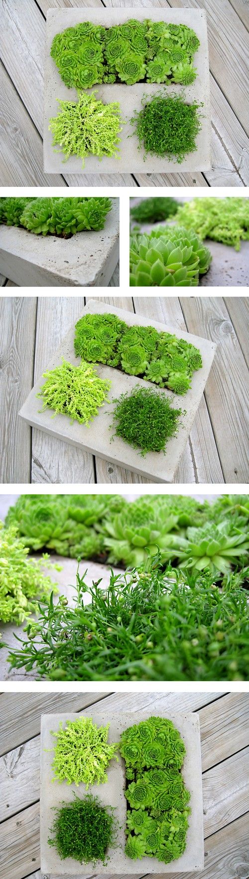 diy-modern-and-concrete-planters-10