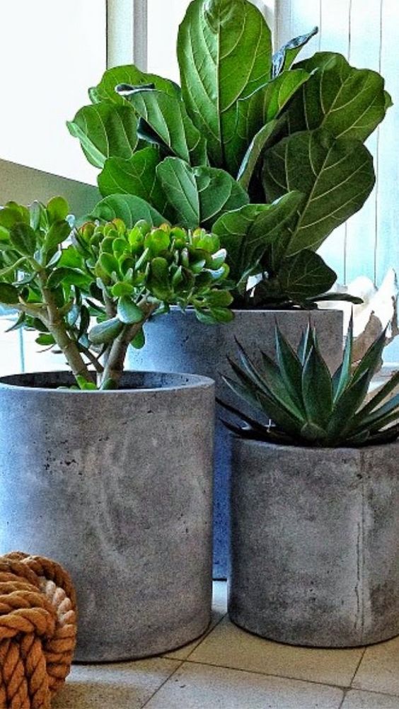 #70 DIY Planter Box Ideas: Modern Concrete, Hanging, Pot & Wall Planter