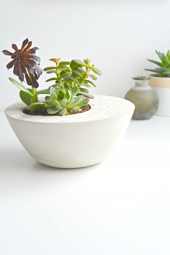 diy-modern-and-concrete-planters-5