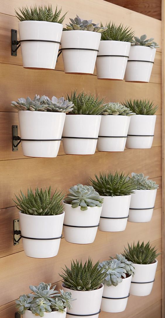 #70 DIY Planter Box Ideas: Modern Concrete, Hanging, Pot & Wall Planter