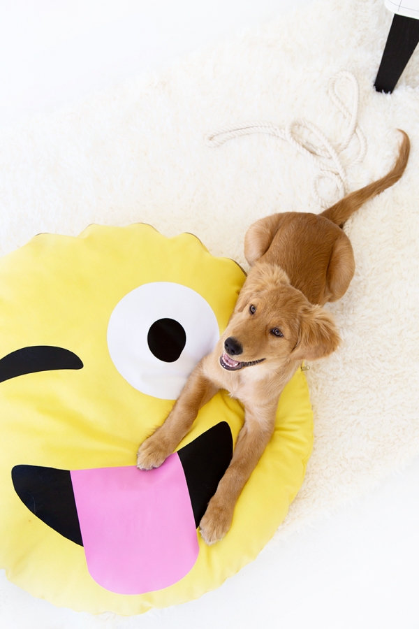 DIY Emoji Pillows for Dogs