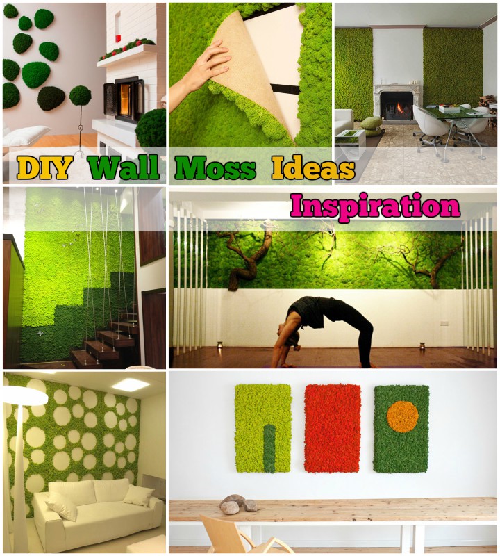 diy-wall-moss-ideas-and-inspiration