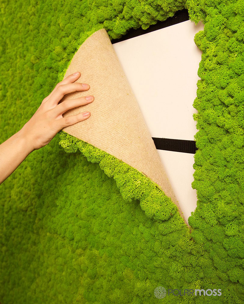 DIY Moss Ideas 12 Moss Wall Art and Inspiration