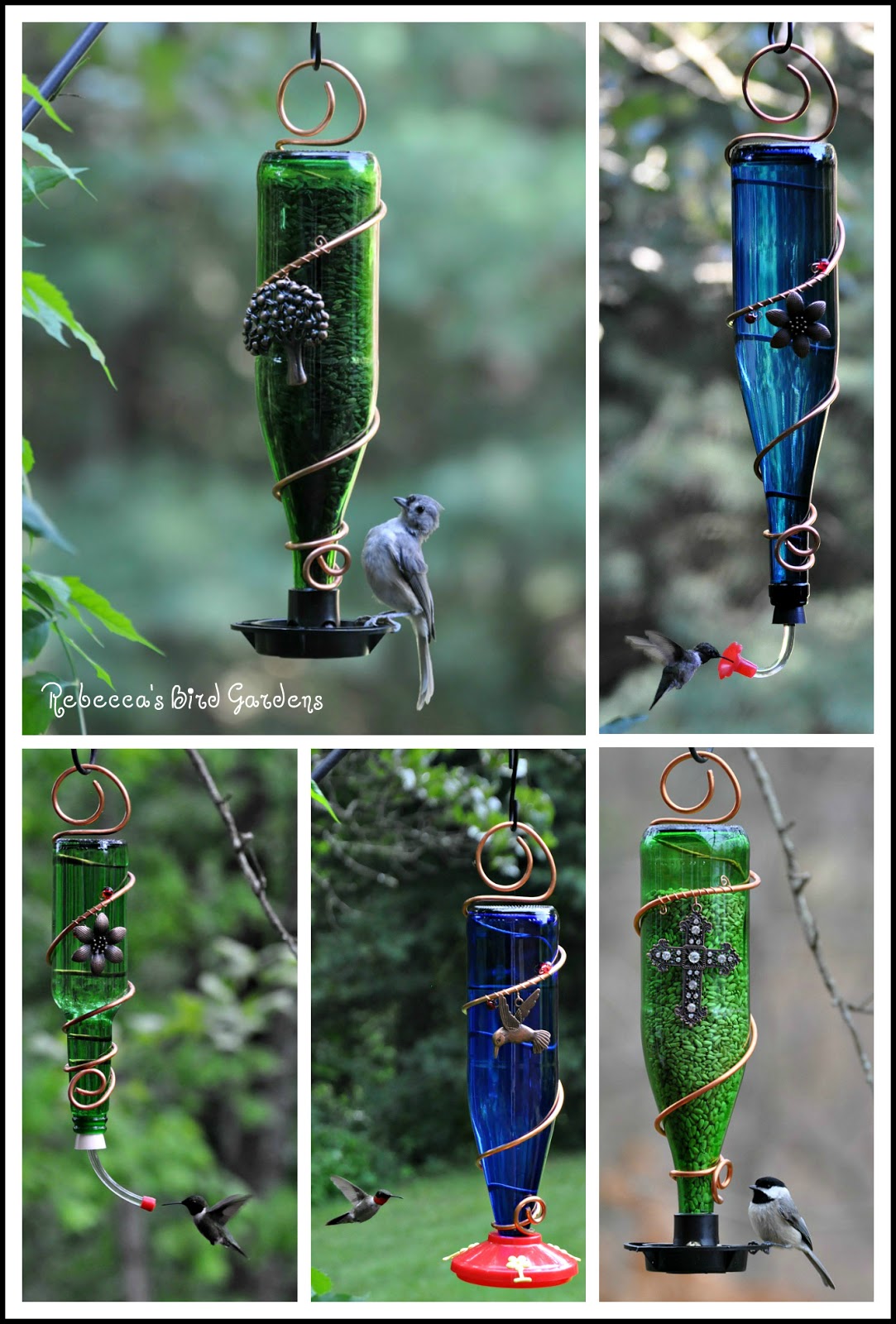 Bottle Bird Feeder Diy The Most Beautiful Bird 2017