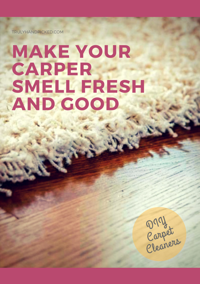 Quick Way to Make Your Carpet Smell Fresh and Good DIY Carpet Cleaners