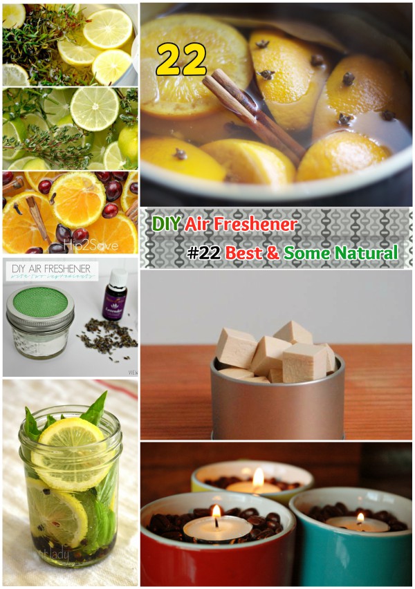 Now Our Room Smells Great 22 Diy Air Freshener Recipes