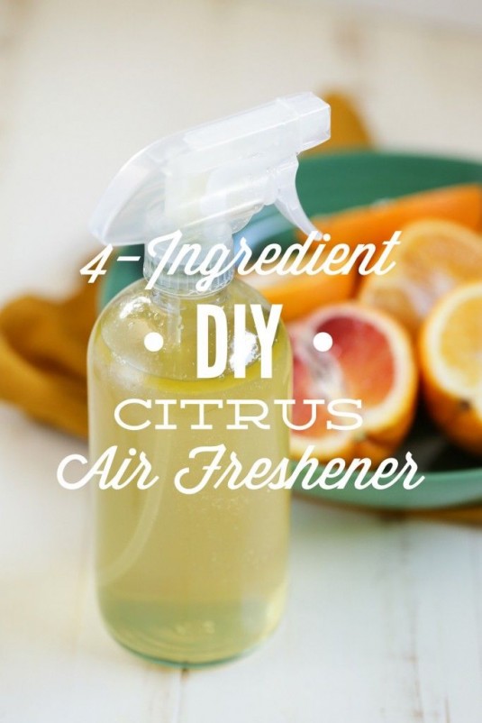 DIY Air freshener Recipes