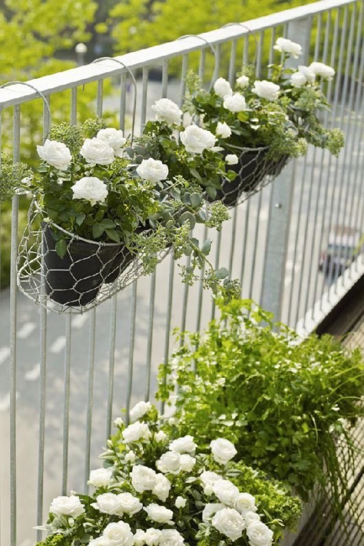Balcony-Garden