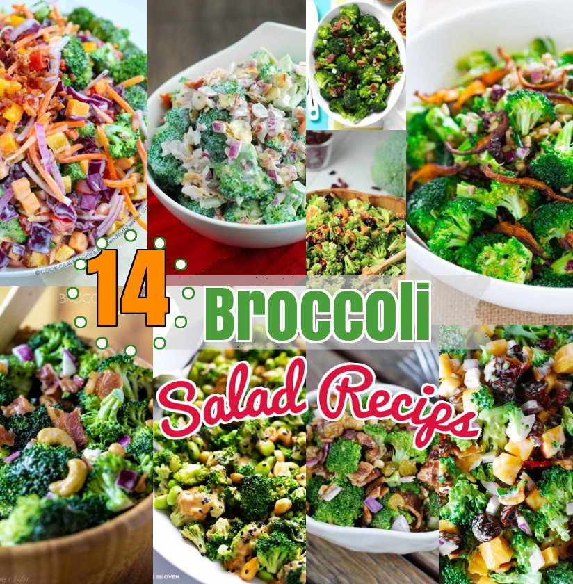 Broccoli Salad Recipes