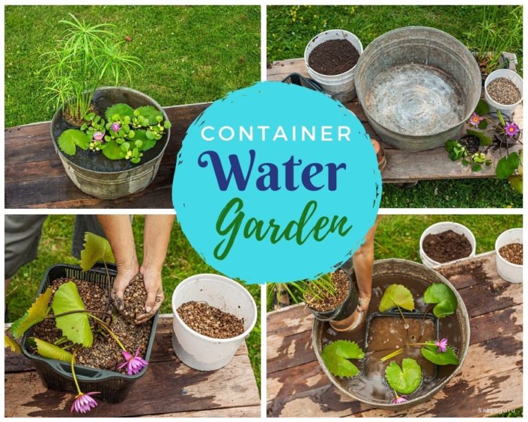 60-diy-water-garden-ideas-container-and-pond-water-garden