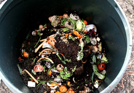 Materials to compost bin how to compost garden ideas