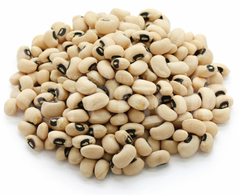 Growing cowpeas how to grow and when to harvest cowpeas