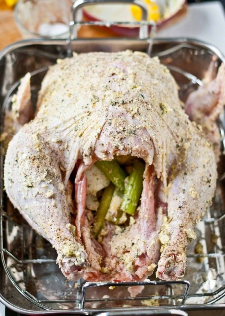 Top Thanksgiving Turkey Recipes