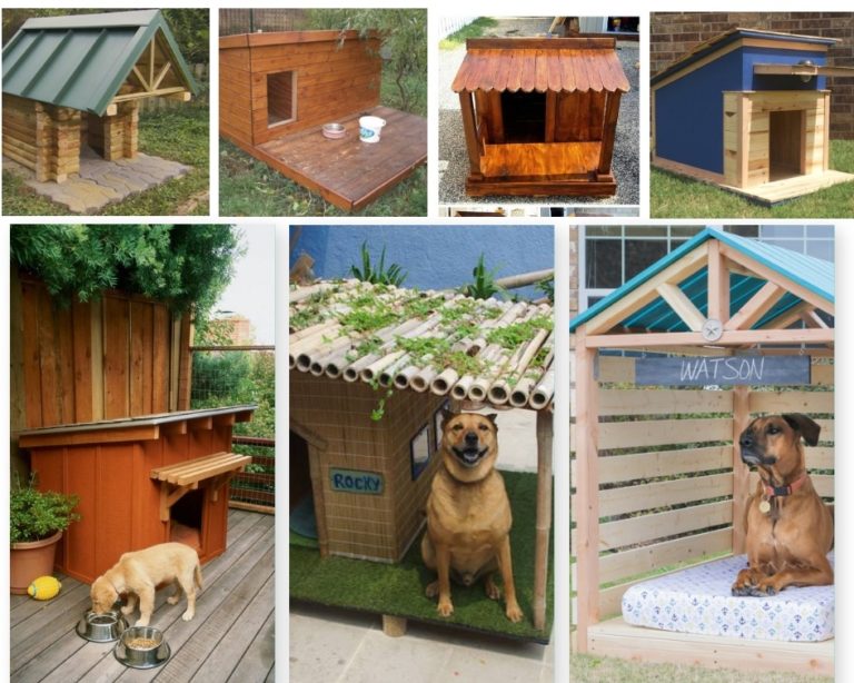 8 Handpicked DIY Dog House Ideas: Budget and Insulated House Plans