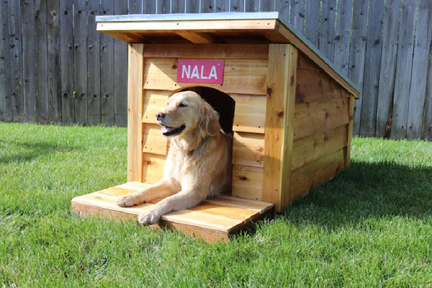 DIY Dog House Ideas Build Plan